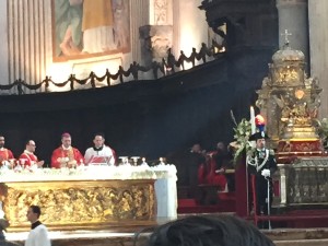 IMG_1981